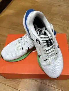 再値下げ　Nike (ナイキ) エア ズーム ペガサス 40