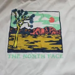 【ノースフェイス】 NT12431 XL　Tシャツ　UV