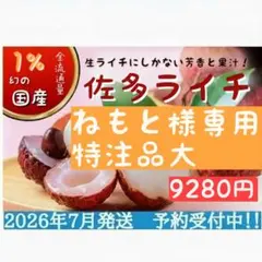 <ライチご依頼専用ページ>鹿児島県産ライチ18〜21粒 国産ライチ 農薬不使用 ライチご依頼専用ページ>鹿児島県産ライチ18〜21粒 国産ライチ 農薬不