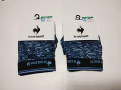 Item thumbnail for item 6e605d12-064b-4cd6-90b0-f959a135633f