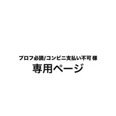 専用ページ