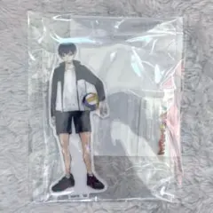 ハイキュー‼︎ キャラパネ軍団‼︎ アクリルスタンド 影山飛雄 - メルカリ