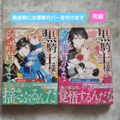 黒騎士様のお気に召すまま～政略結婚のはずが溺愛されています～ 1・2