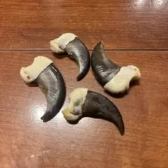 クマの爪　4個セット