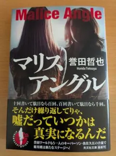 マリスアングル