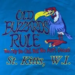 C2204【厚手コットンTブルーXL美品】アメリカユーズドTシャツセントキッツ