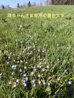 陽ちゃんさま専用の書き文字のお品です