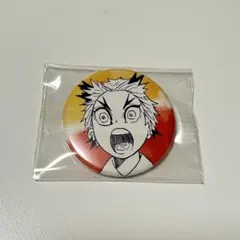 鬼滅の刃 幼少期 缶バッジ プチ
