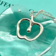美品 ティファニー アップルネックレス エルサペレッティ シルバー ヴィンテージのサムネイル