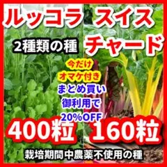 セニョリータ様 リクエスト 3点 まとめ商品