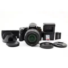 Sony α55 高倍率ズーム DT 18-200mm ショット数2129 良品 - メルカリ