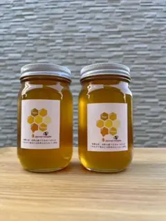 希少　日本ミツバチ 国産天然はちみつ100%600g(Y3Y0箱) 希少 日本ミツバチ 国産天然はちみつ100%600g(Y3Y0箱) - メルカリ