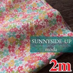 残り2点【R1938】廃盤　moda fabrics 花柄　2m