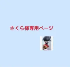さくら様専用ページ