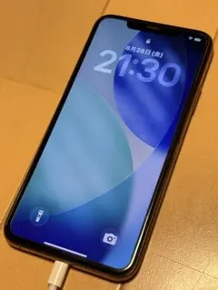 iPhone11 ProMax 256GB シャッタ音無 デュアルSIM 海外版 - メルカリ