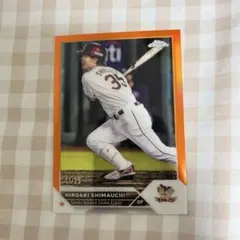 ＮＰＢバット　支給品　楽天　島内宏明 2025年最新】島内宏明の人気アイテム - メルカリ