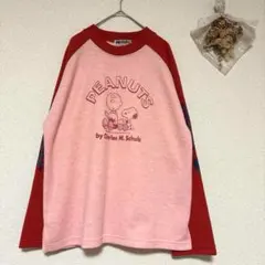 PEANUTS チャーリーブラウン スヌーピー Tシャツ M ラグラン 染み込み