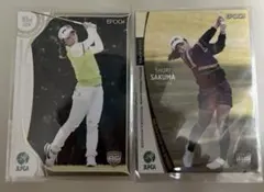 Item thumbnail for item 4b4c7690-17a2-4f85-80b4-4c089165a327