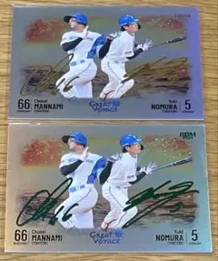 Item thumbnail for item f16a1149-0017-4fc4-8792-e1ce09cdafff