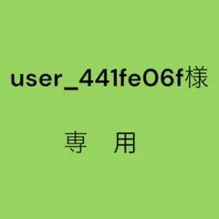 user_441fe06f様　専用