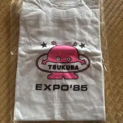 新品 TIF 2026 3日間通し Tシャツ 白L 着用者限定ライブ アイドル