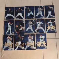 プロ野球チップス2016年 侍ジャパントレーディングカード 14枚セット