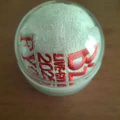 B'z LIVE-GYM 2025 FYOP ガチャ