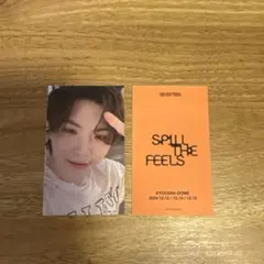 SEVENTEEN ウジ 会場限定 大阪 ユニバ