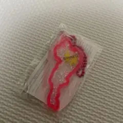 琵琶湖キーホルダー　イナズマ