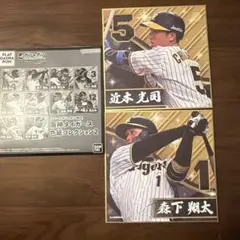 阪神タイガース 色紙コレクション2 森下翔太 近本光司