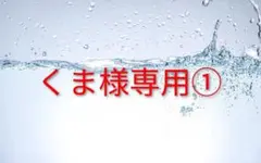 くま様専用① 勇者パーティーを追放されたビーストテイマー 1～10巻、薫る花21