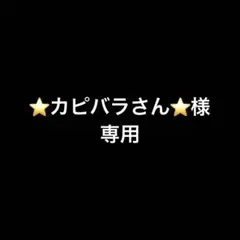 ⭐️カピバラさん⭐️様