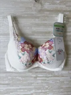 D75」トリンプ 天使のブラ 魔法のハリ感566 ノンワイヤーブラジャー