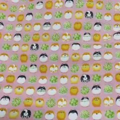 Item thumbnail for item d57cfb07-9774-473e-9d1d-7a0b55e8c2fc