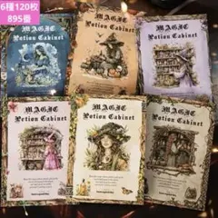 新品❣️魔法薬箪笥シリーズW素材pe tシールブックステッカーペーパー6種120頁