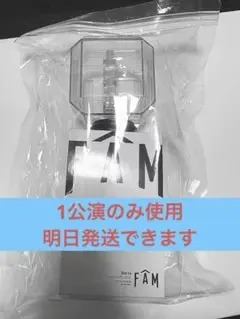 timelesz LIVE TOUR episode1 FAM ペンライト 美品