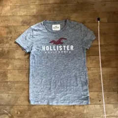 Hollister グレー Tシャツ M