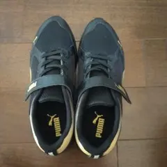 Item thumbnail for item 8d0c89de-500f-4d40-ae1a-67a9abe51f92