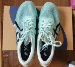 Item thumbnail for item 42146f19-d65e-4f3e-82d6-99dc3957f812