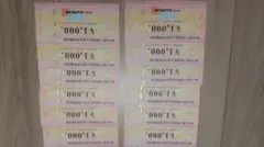 ビックカメラ　お買物優待券 ￥12000