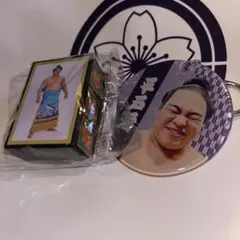 Item thumbnail for item d7c0faf4-0b64-4faa-a2b6-83a9d28e4092