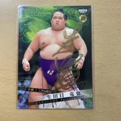 2025年最新】相撲 サインカードの人気アイテム - メルカリ