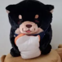 忠犬もちしば ぬいぐるみ 黒柴