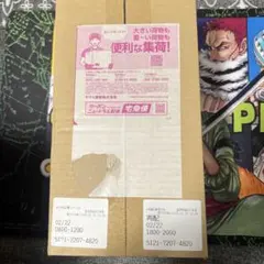 【新品未開封】ポケモンセンター フクオカ スペシャルBOX