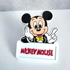 ディズニーランド　ミッキー　パスケース　クリップ
