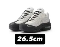 Nike Air Max 95 Big Bubble 