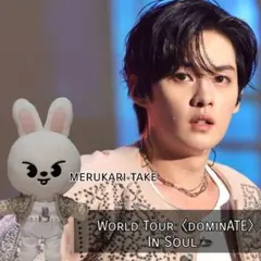 【オリジナルサイズ】skzoo×リービット×dominATE inソウルコン