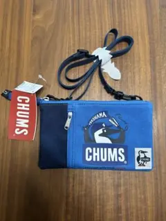 Item thumbnail for item 512475b5-b89f-4221-882f-8413b51f4bd8