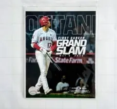 大谷翔平 2015 ハイライトフォト No.229 日本ハム 球団公式写真 - メルカリ