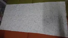 Item thumbnail for item c0aacee7-9ac6-4f87-9081-5b5b9569d4e0